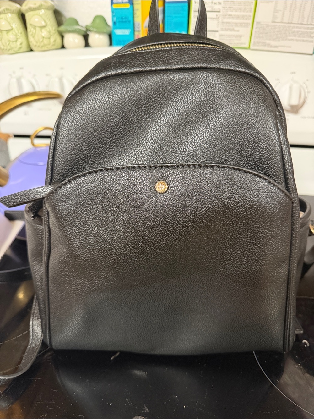 Lauren Conrad’s Women’s Black Leather Mini Backpack - authentic bag